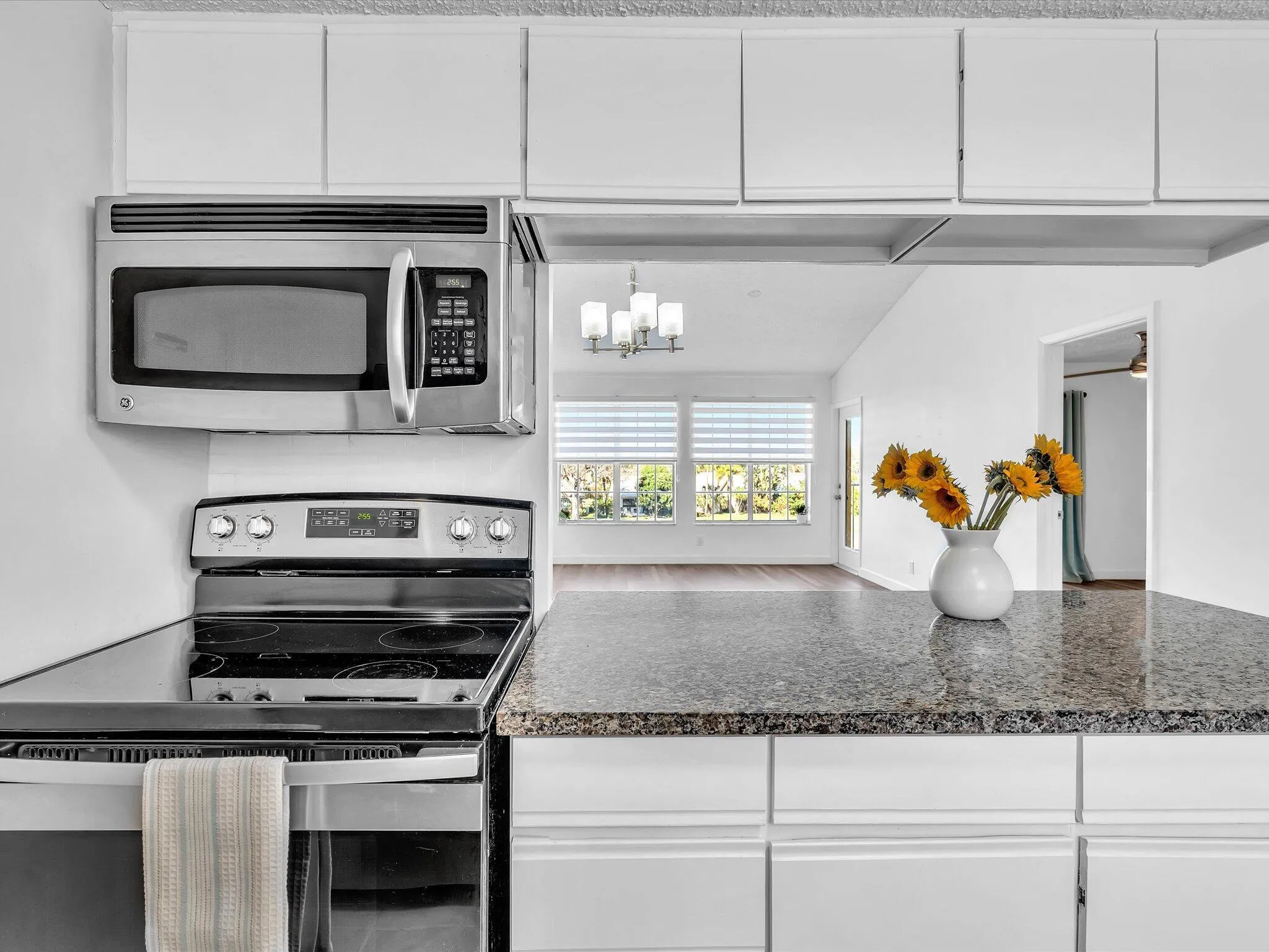 Microwave & Full Size Oven