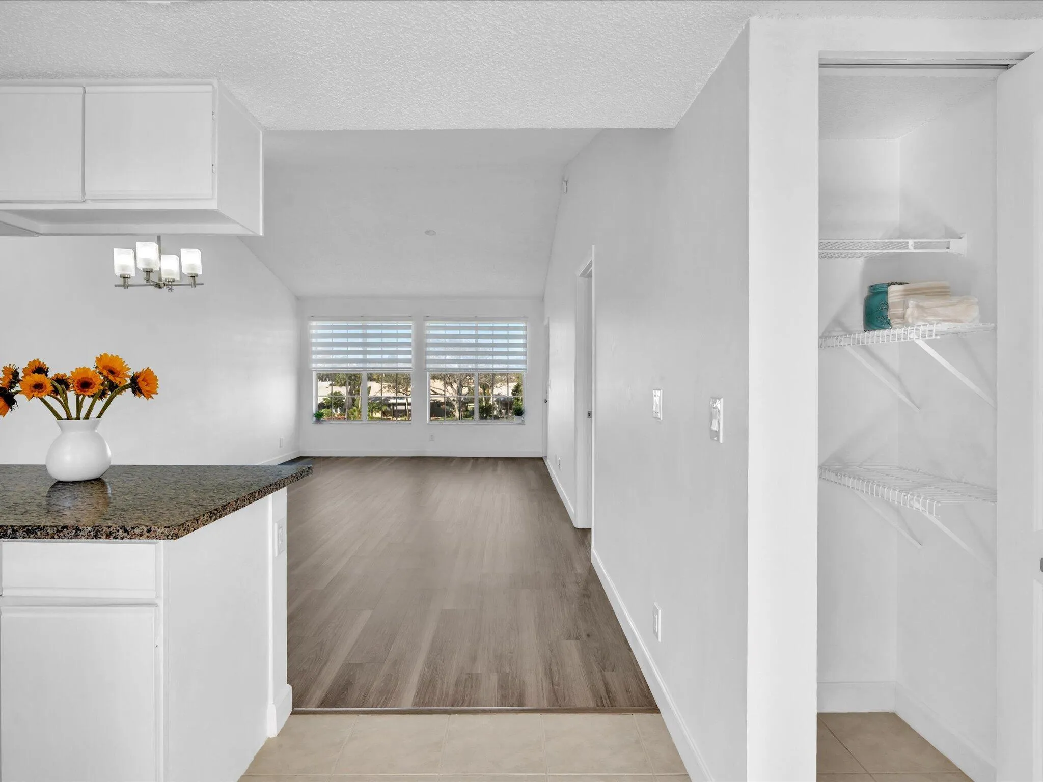 Pantry Closet
