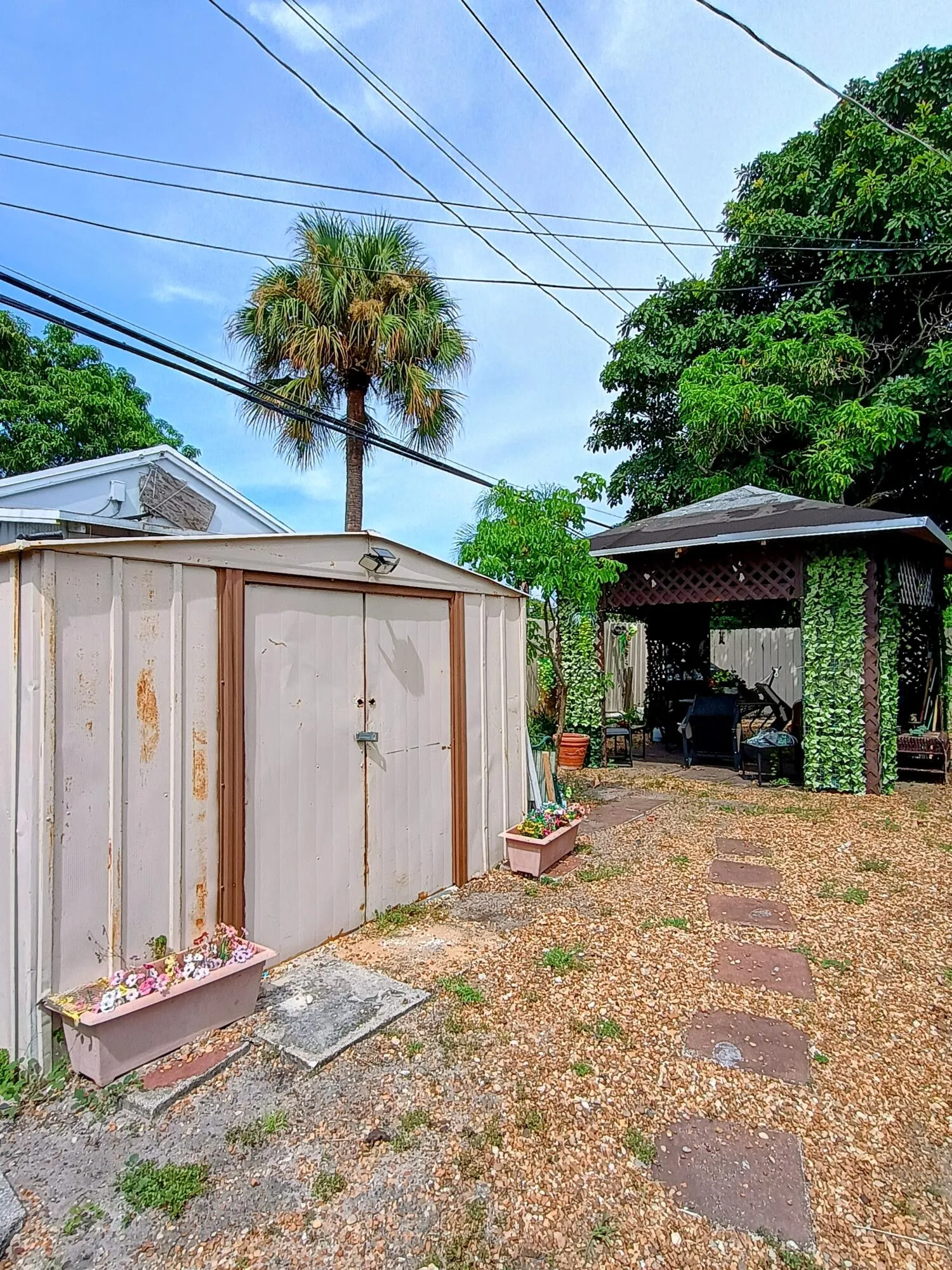 Back yard