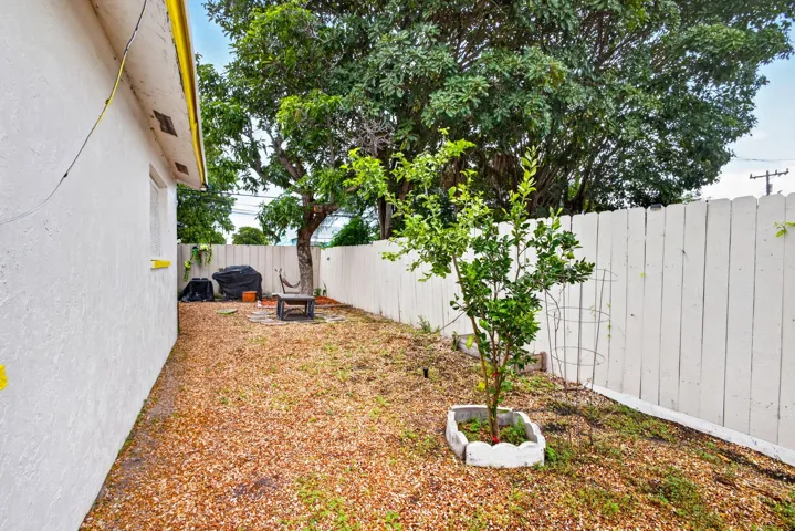 SIDE YARD