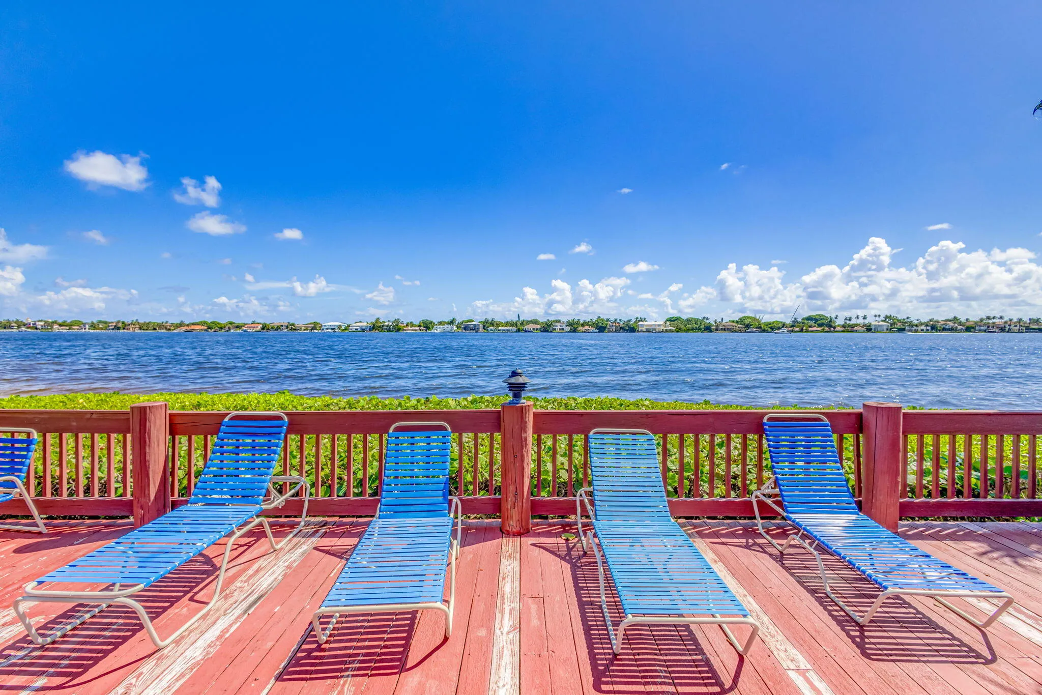 77-web-or-mls-5D1A2545