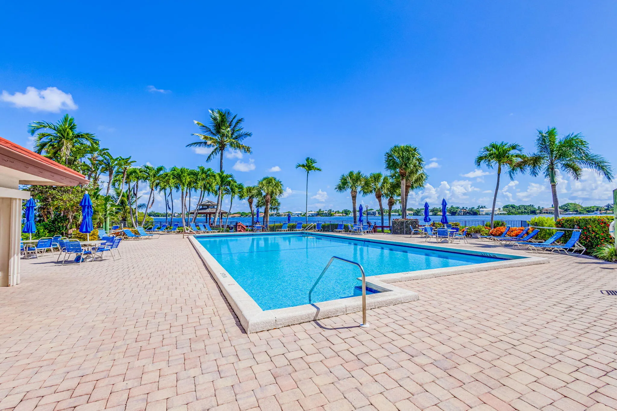 78-web-or-mls-5D1A2525