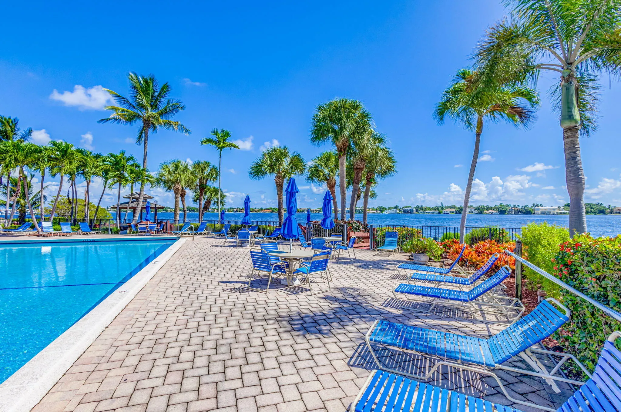 76-web-or-mls-5D1A2530