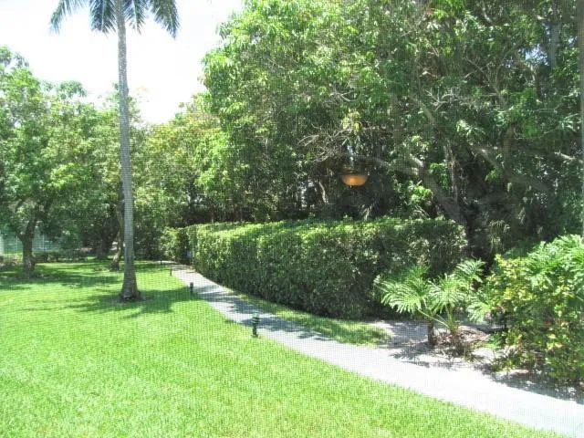 Manicured lawn with a paved pathway, mature palm trees, and dense hedges