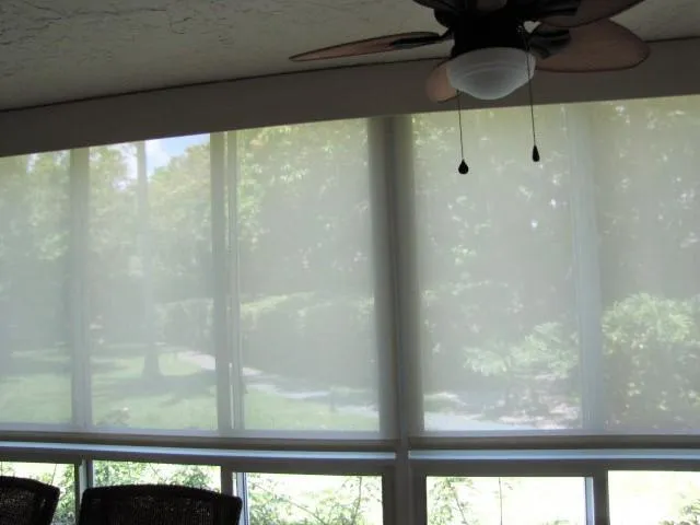 Privacy Blinds