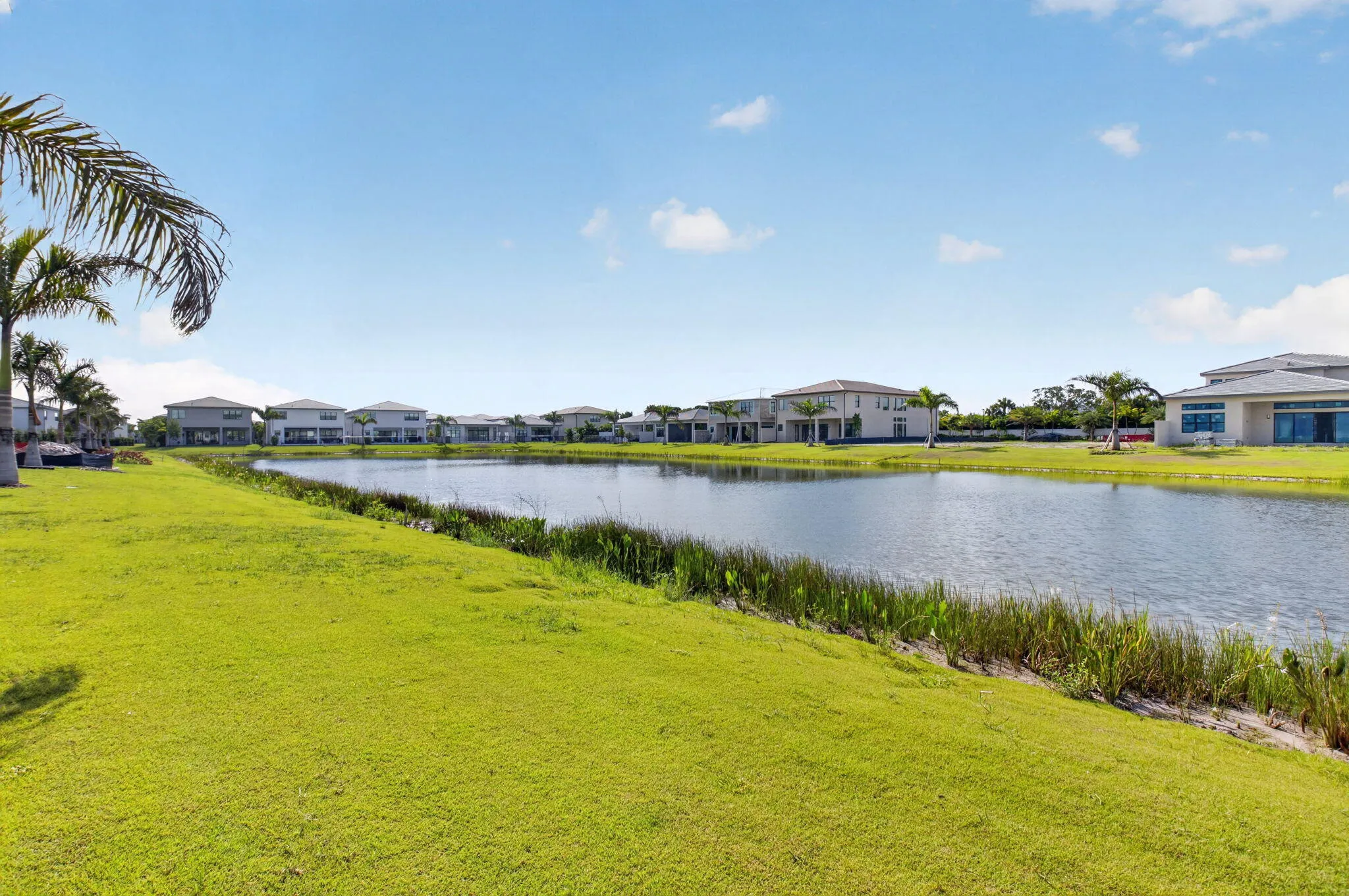 Lake view