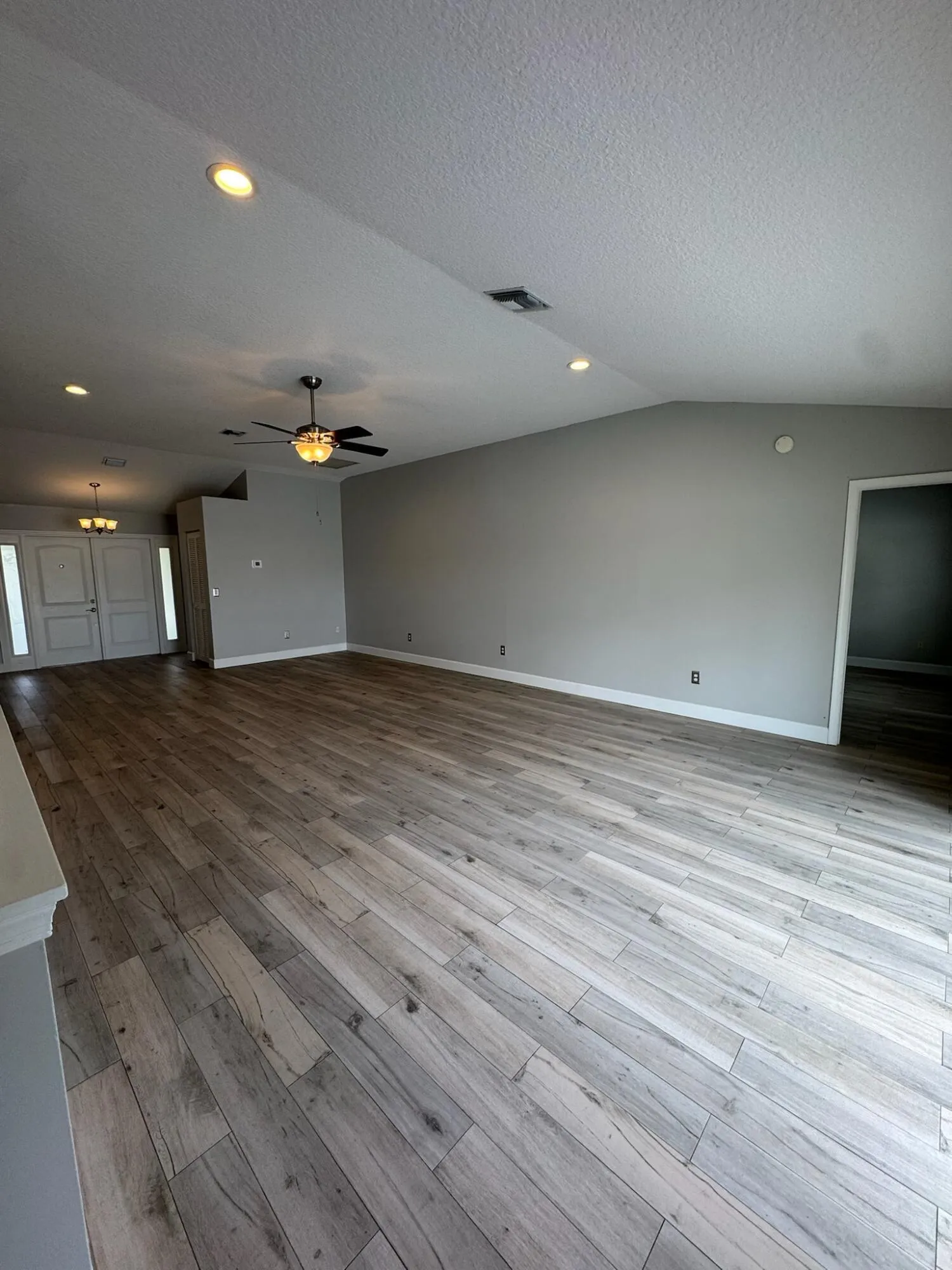 IMG_7909 2