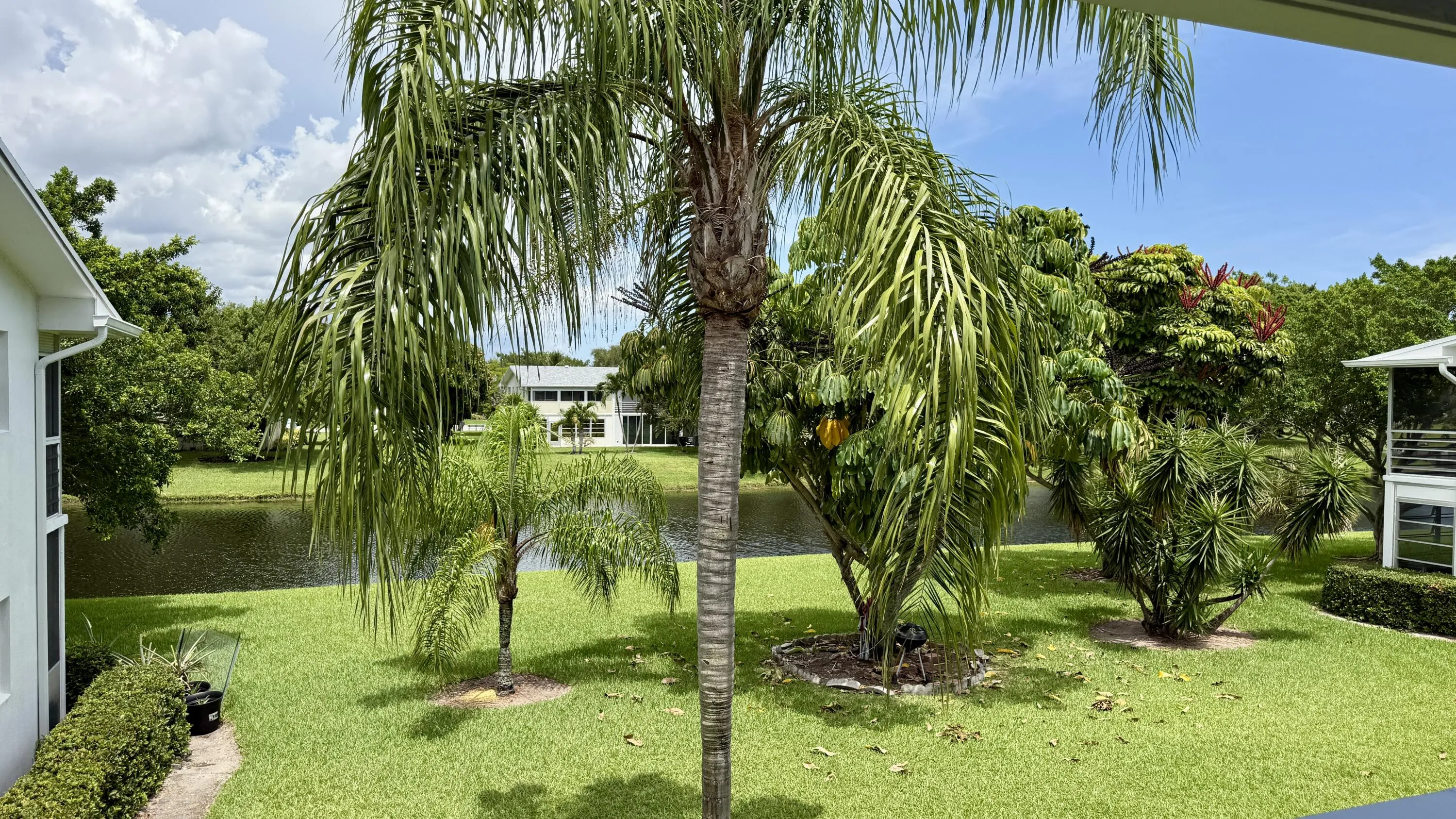 View from Front Door