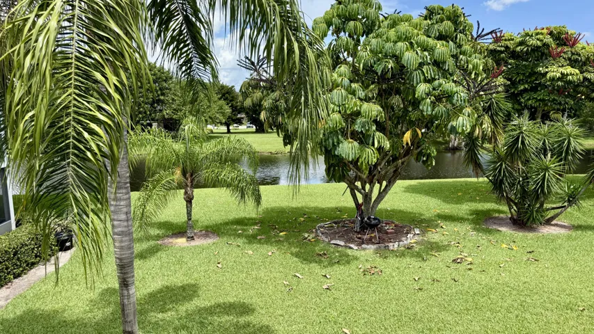 View from Front Door