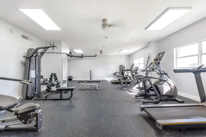 GYM 5