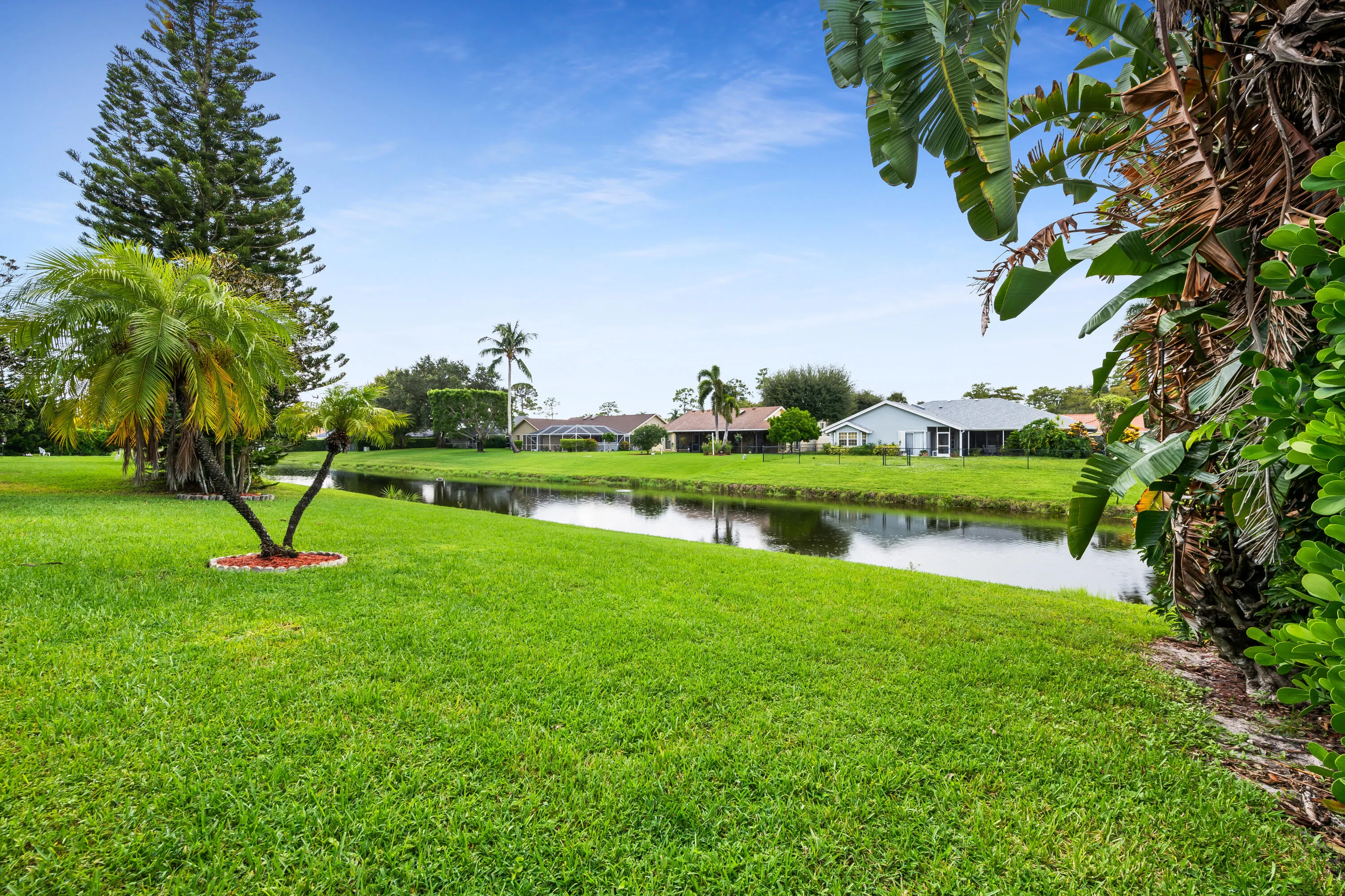 Expansive green lawn with a water feature, bordered by tropical foliage and mature trees