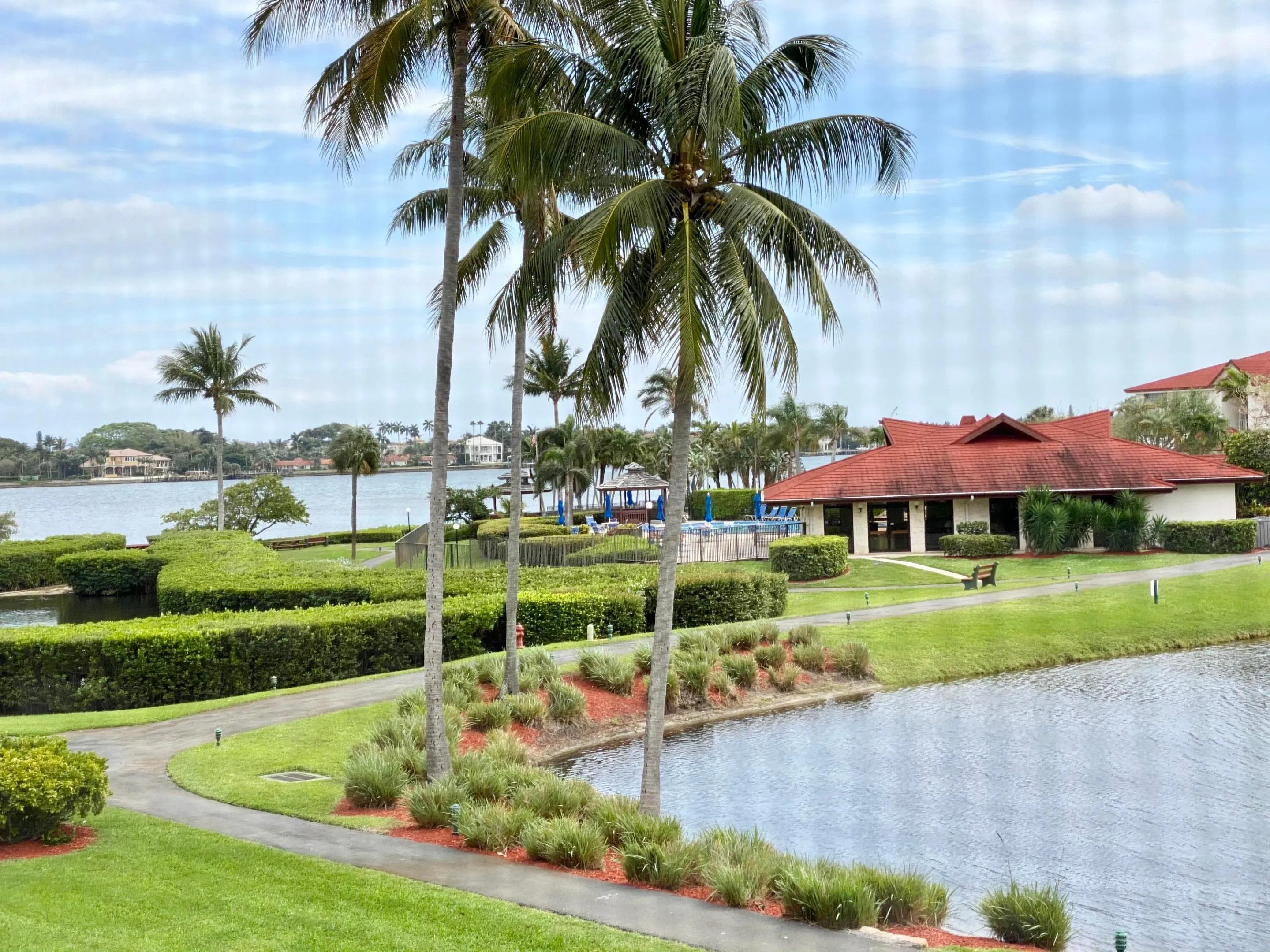 View from the patio