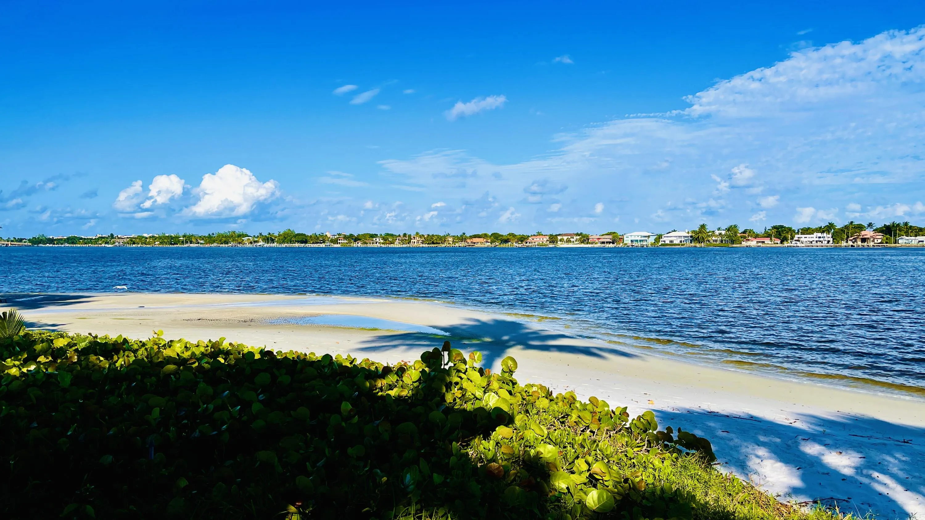Beach Area