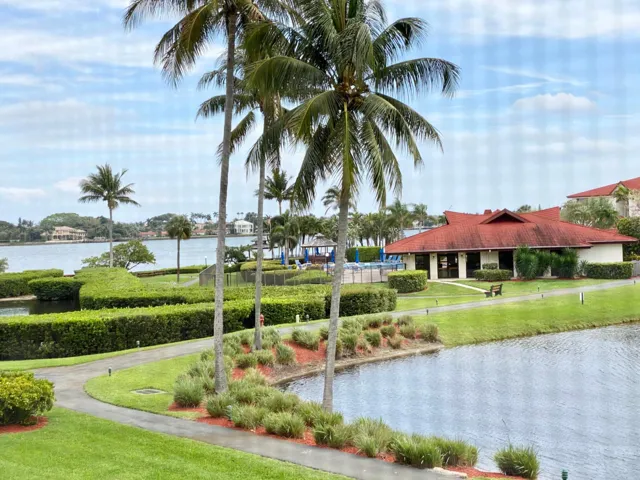 View from the patio