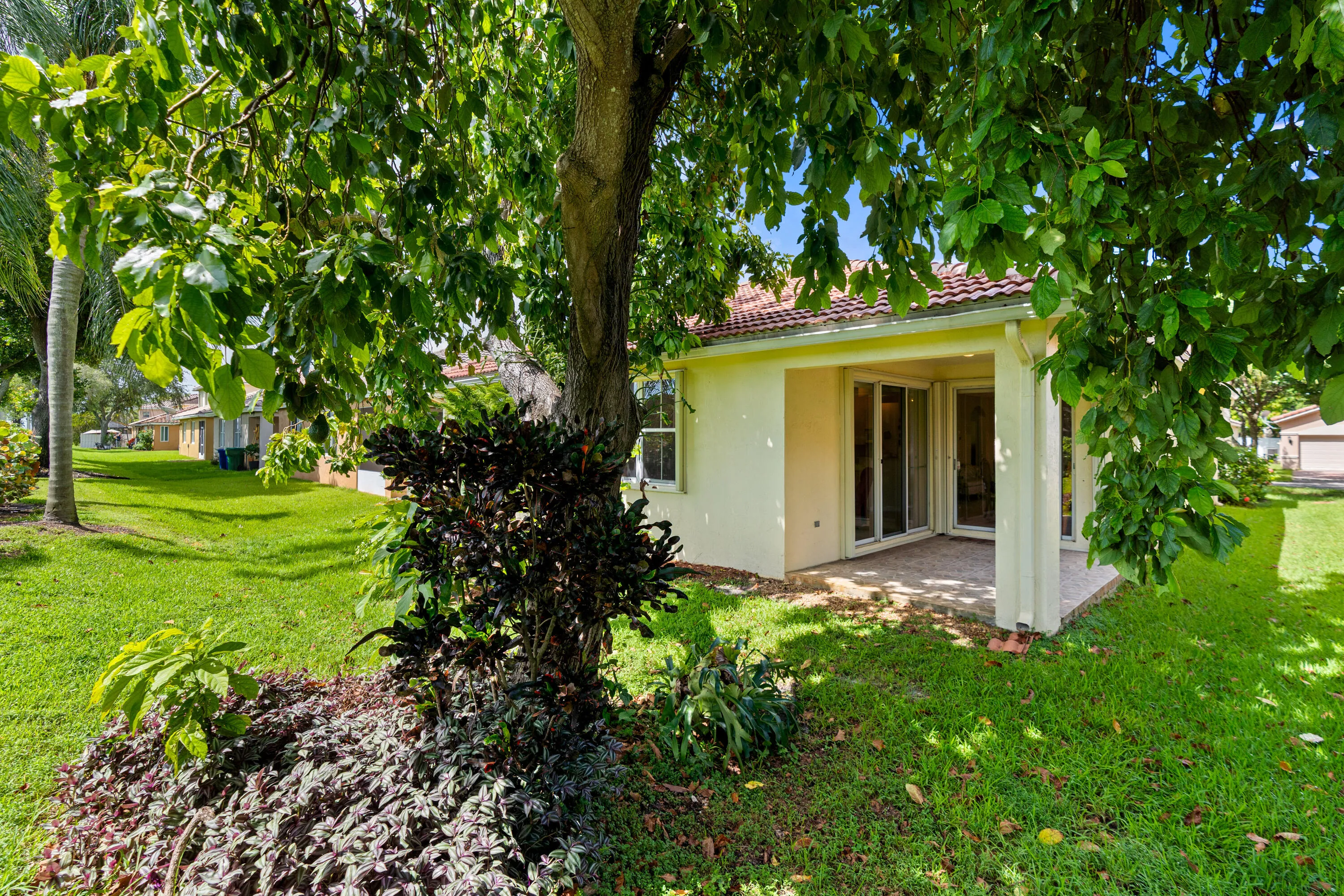 Expansive green lawn with mature trees and established landscaping