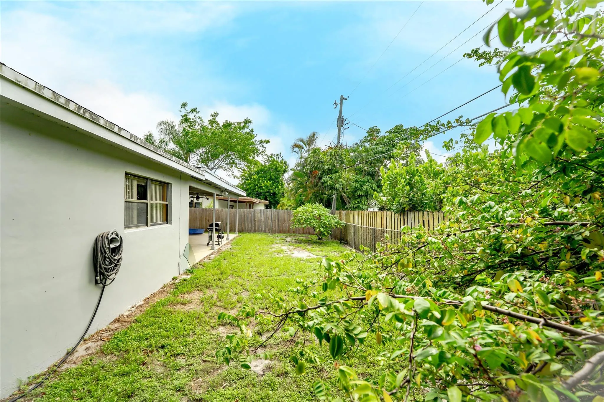 Photo 35