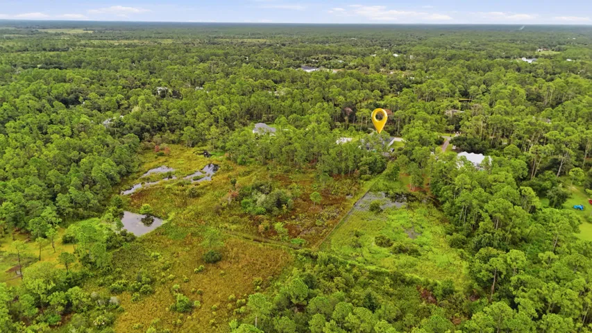 Expansive wooded acreage featuring diverse foliage and natural water features