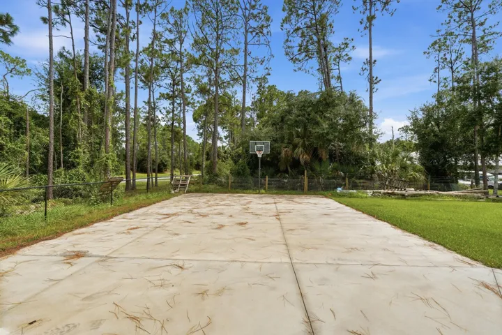 Concrete sport court with an attached basketball hoop, bordered by a chain-link fence and mature trees