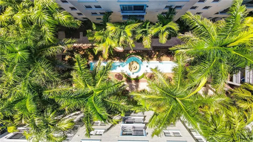 Aerial of garden