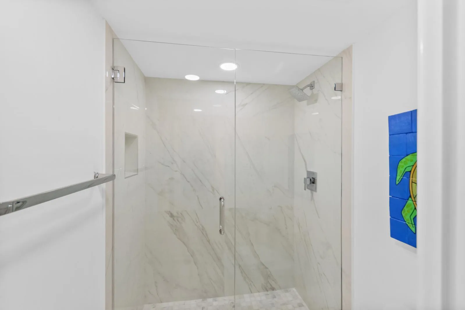 Guest Bathroom Walk-in Shower