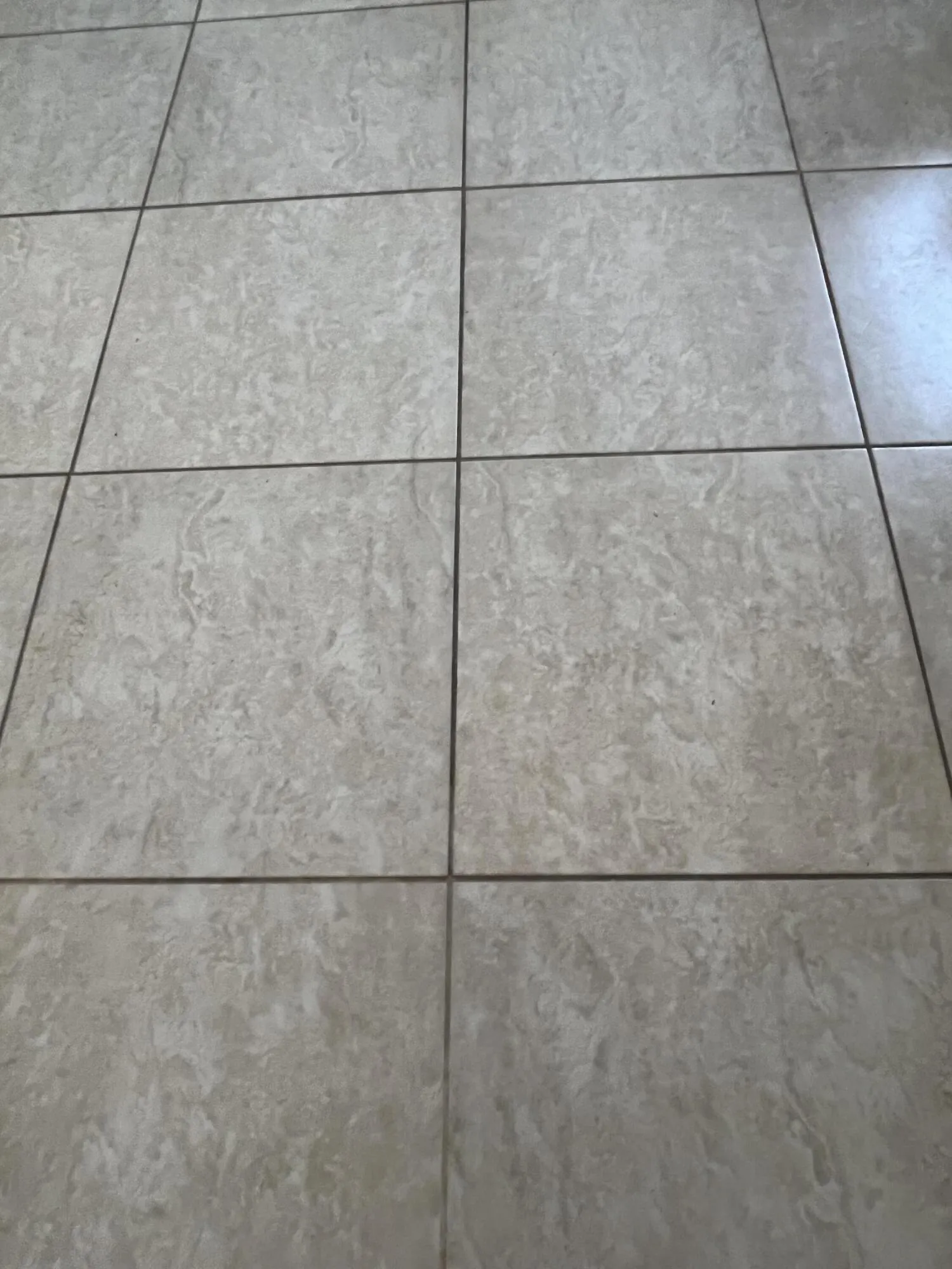 tiled in neutral coloring throughout the residence