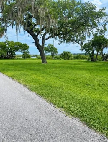 Trail