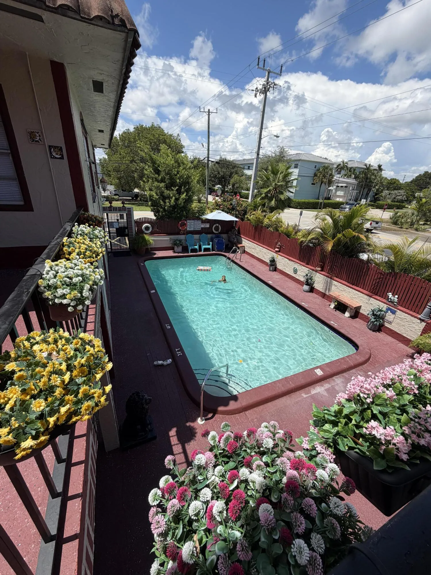 IMG_0562