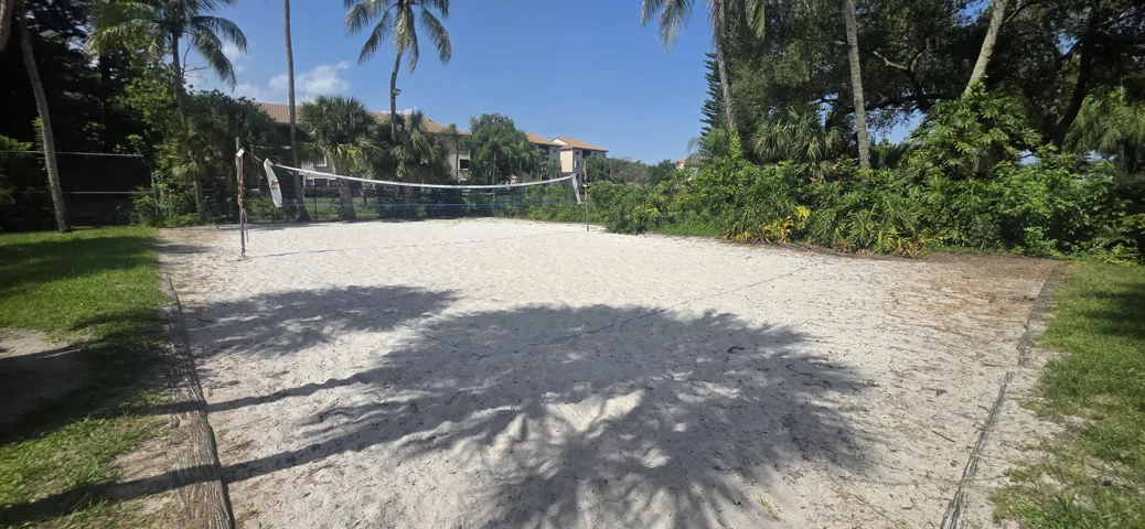 club - volleyball