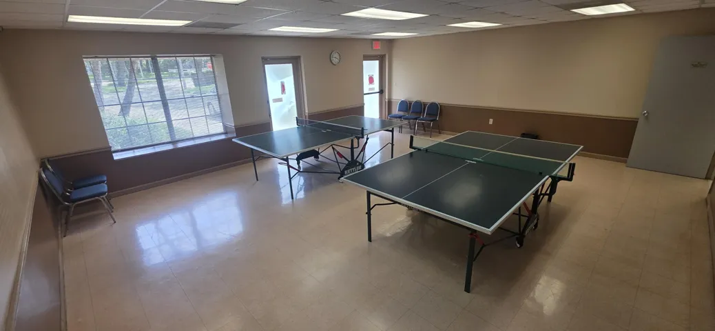 ping pong