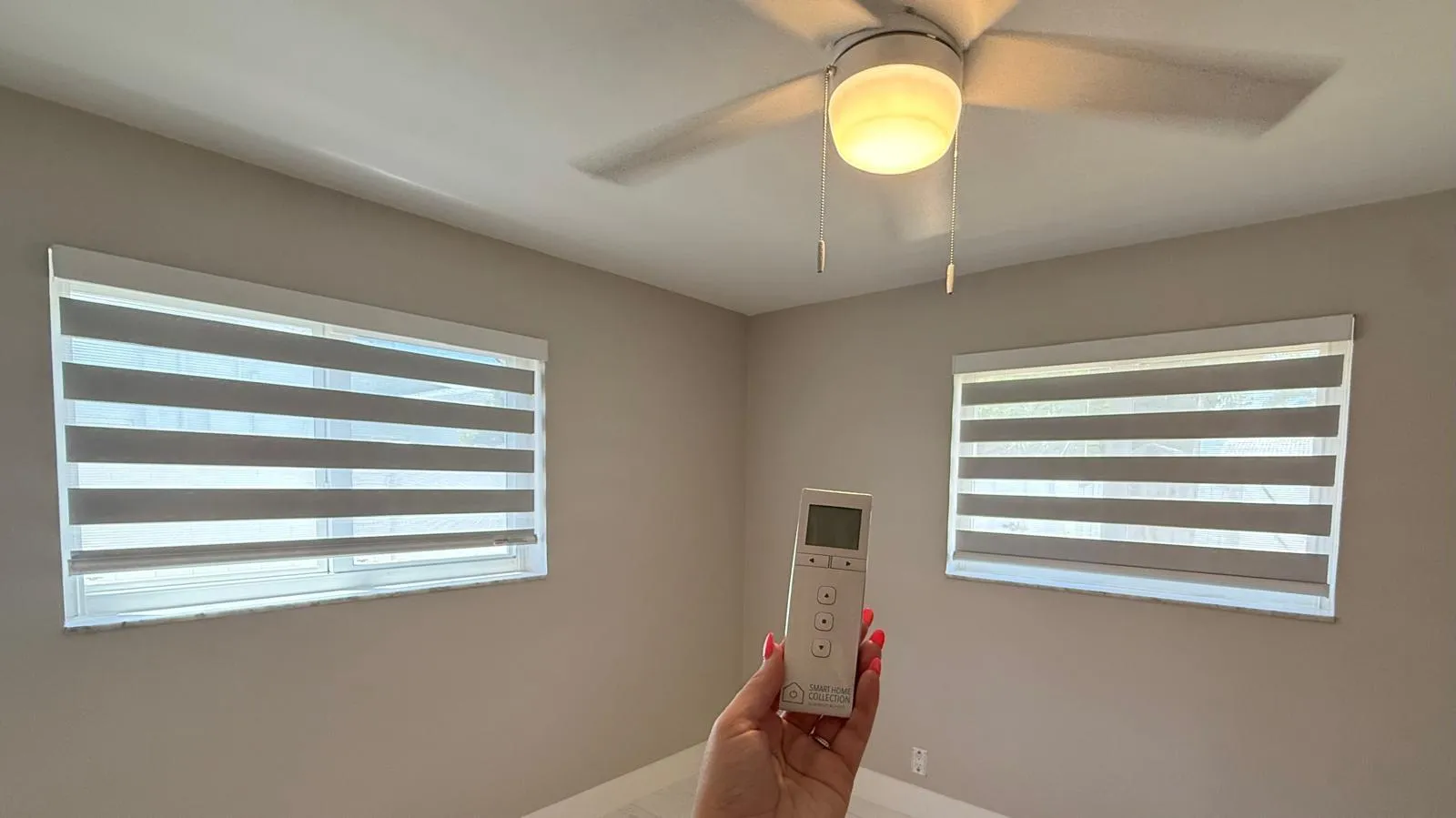 Master electronic blinds