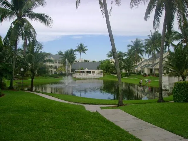 Lush green space with mature palm trees, a prominent water feature with a fountain, and paved walkways