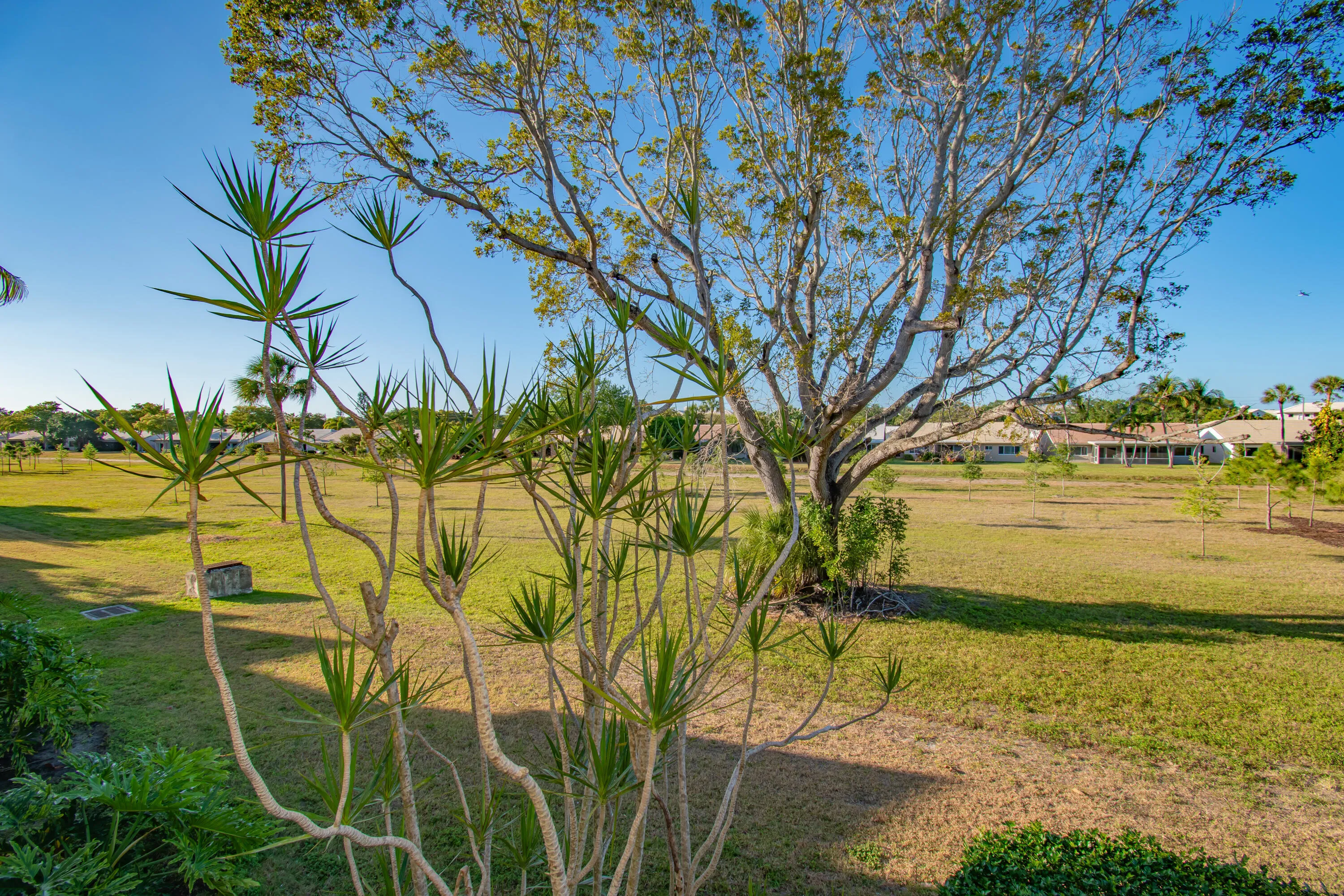 Expansive green space featuring scattered trees and mature landscaping