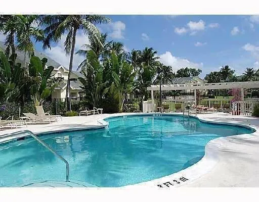 Freeform swimming pool with a white concrete deck, surrounded by mature palm trees and tropical foliage