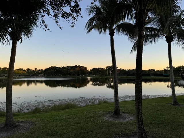 sunset walk 1