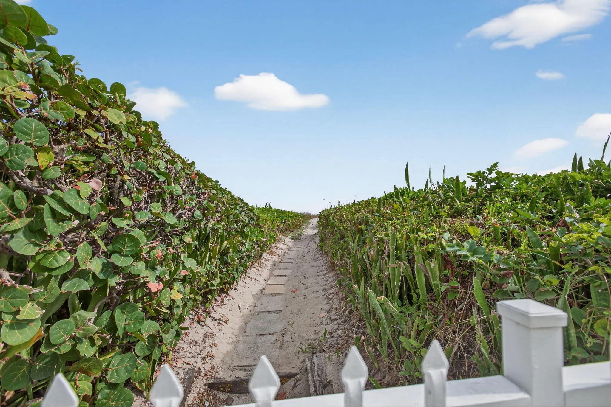 Beach Walk Way