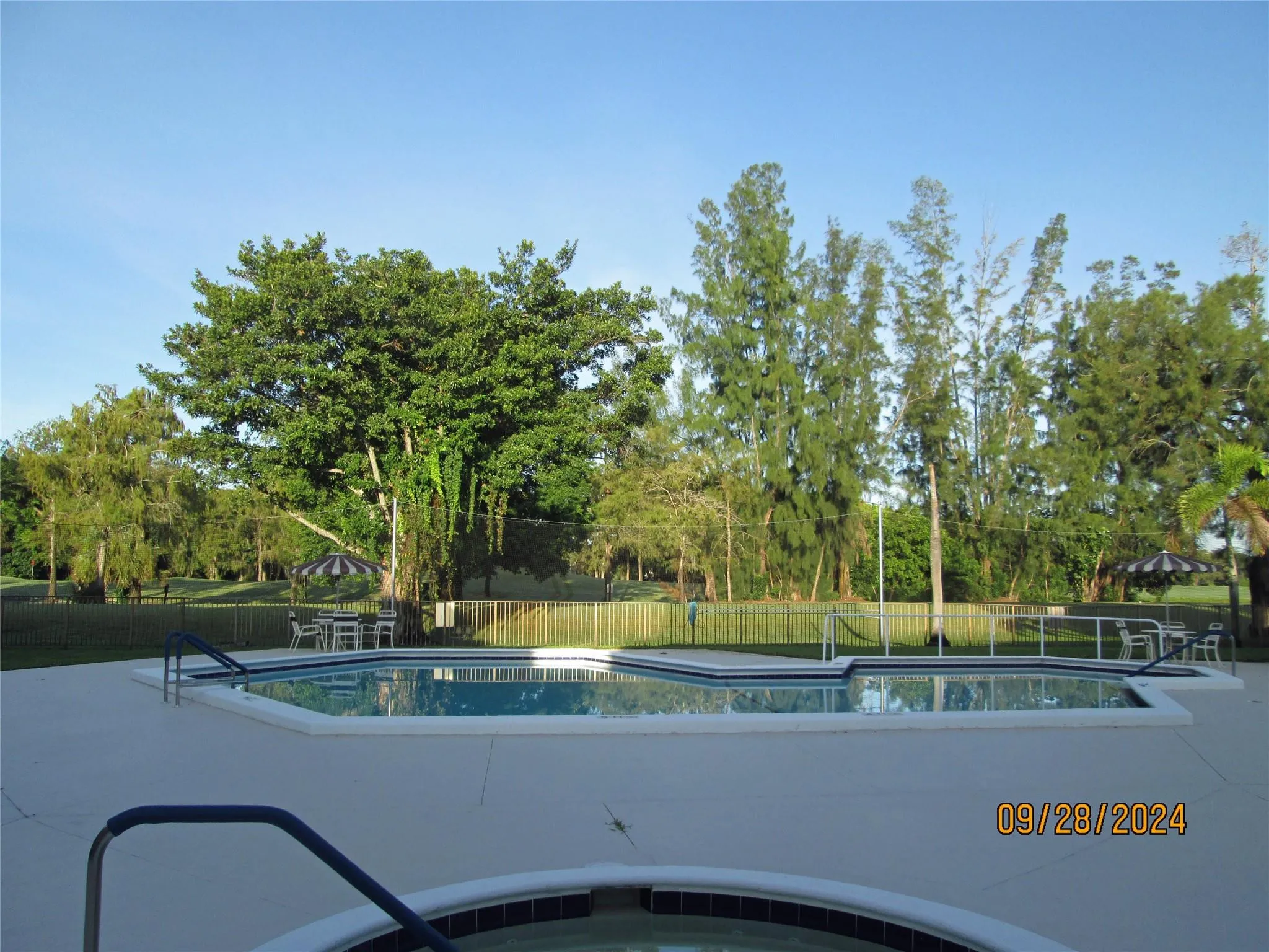 Photo 46