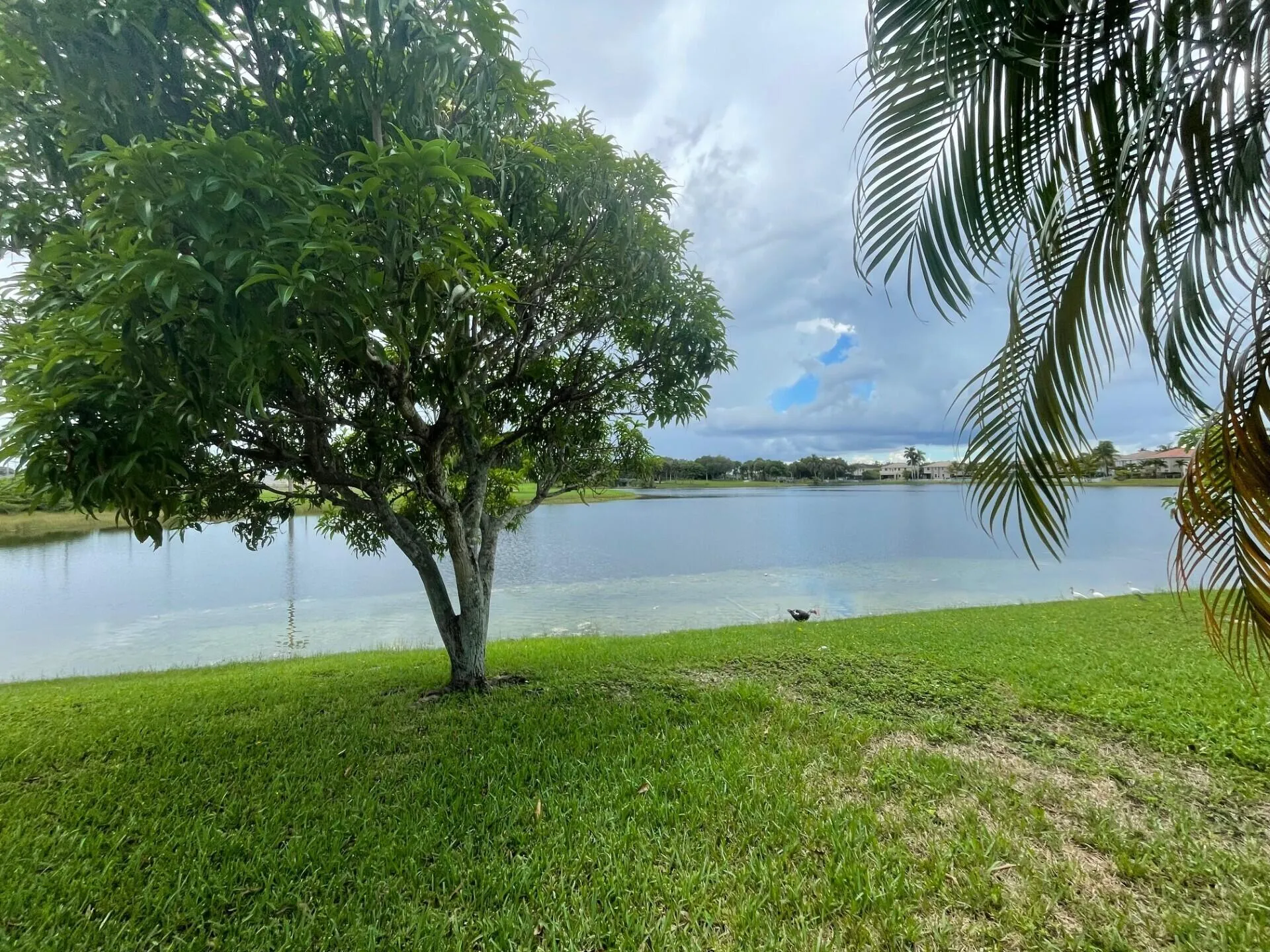 17484-045