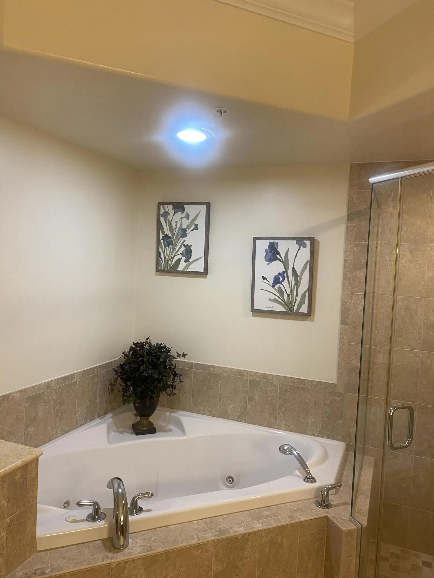 Property photo 42