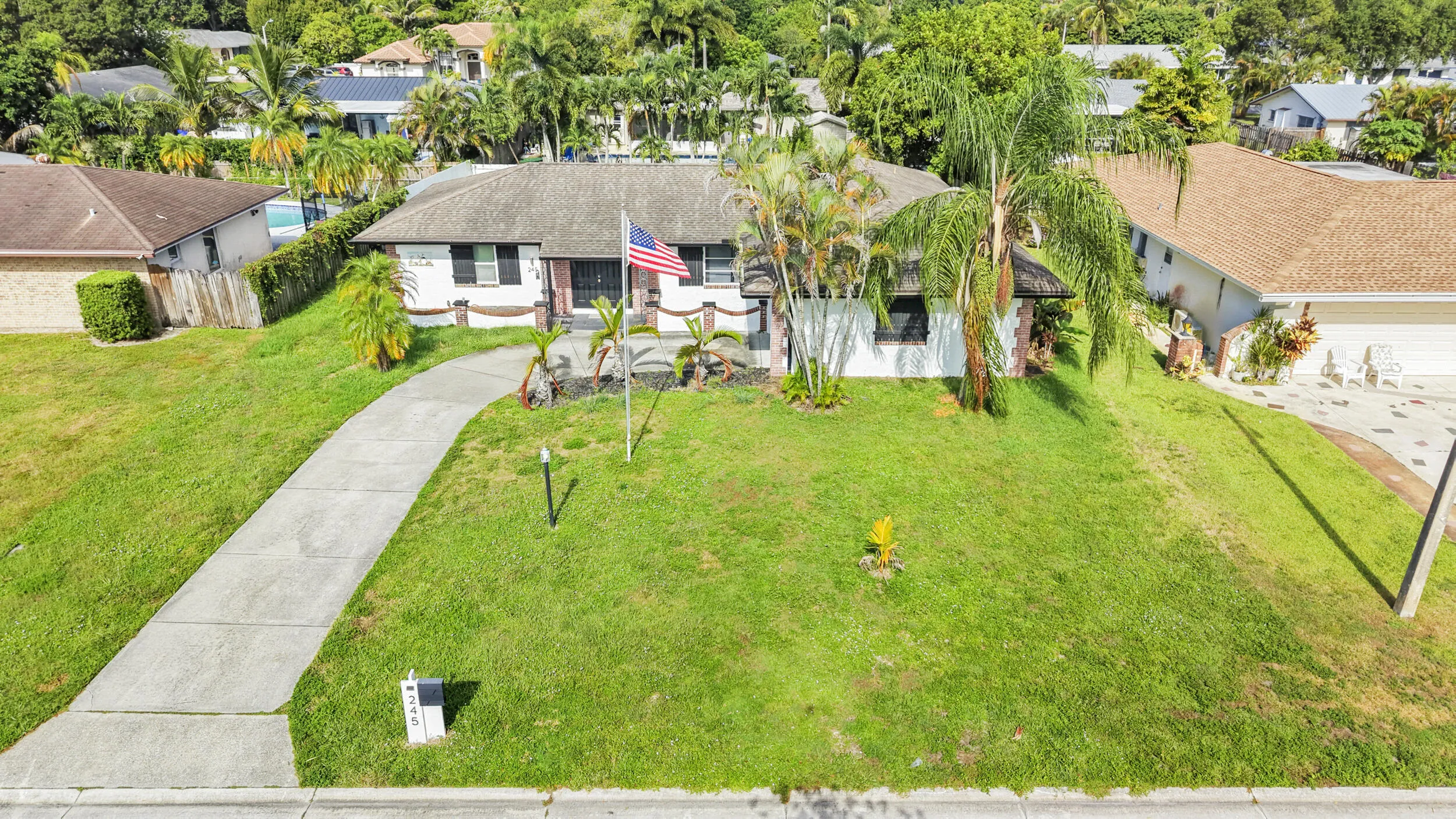 Front exterior featuring a concrete driveway, mature palm trees, and a spacious lawn