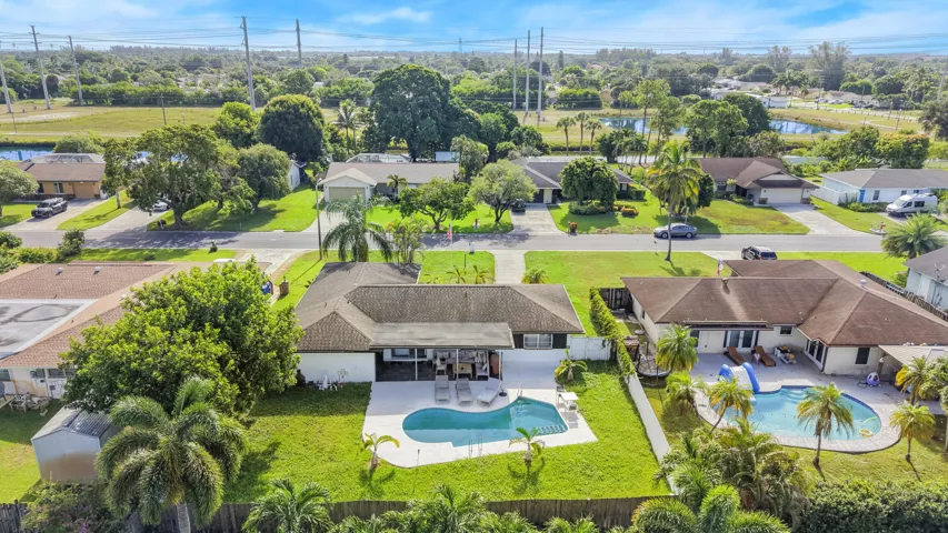 Expansive backyard featuring a freeform swimming pool, concrete patio, and mature palm trees
