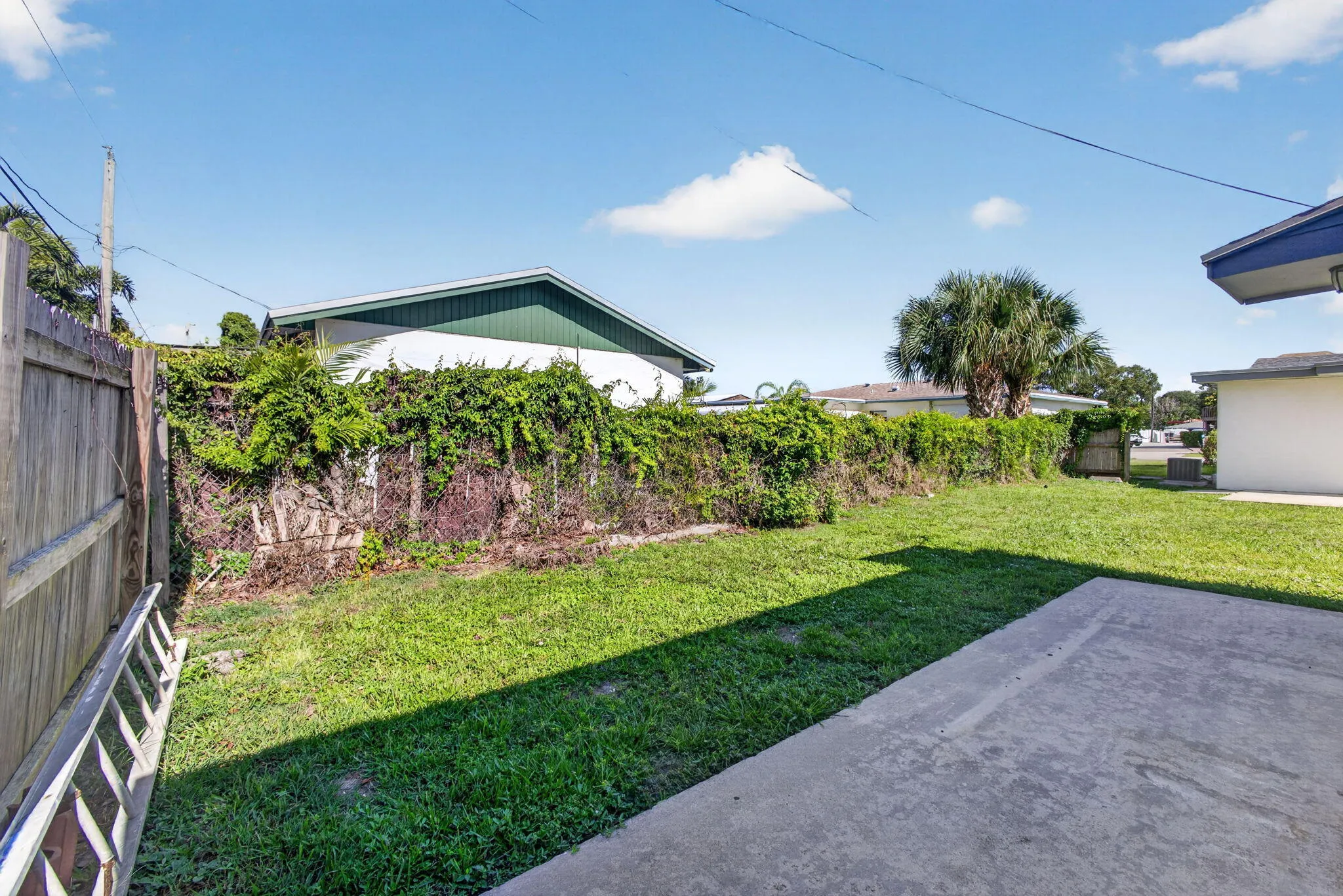 58-web-or-mls-5D1A3682
