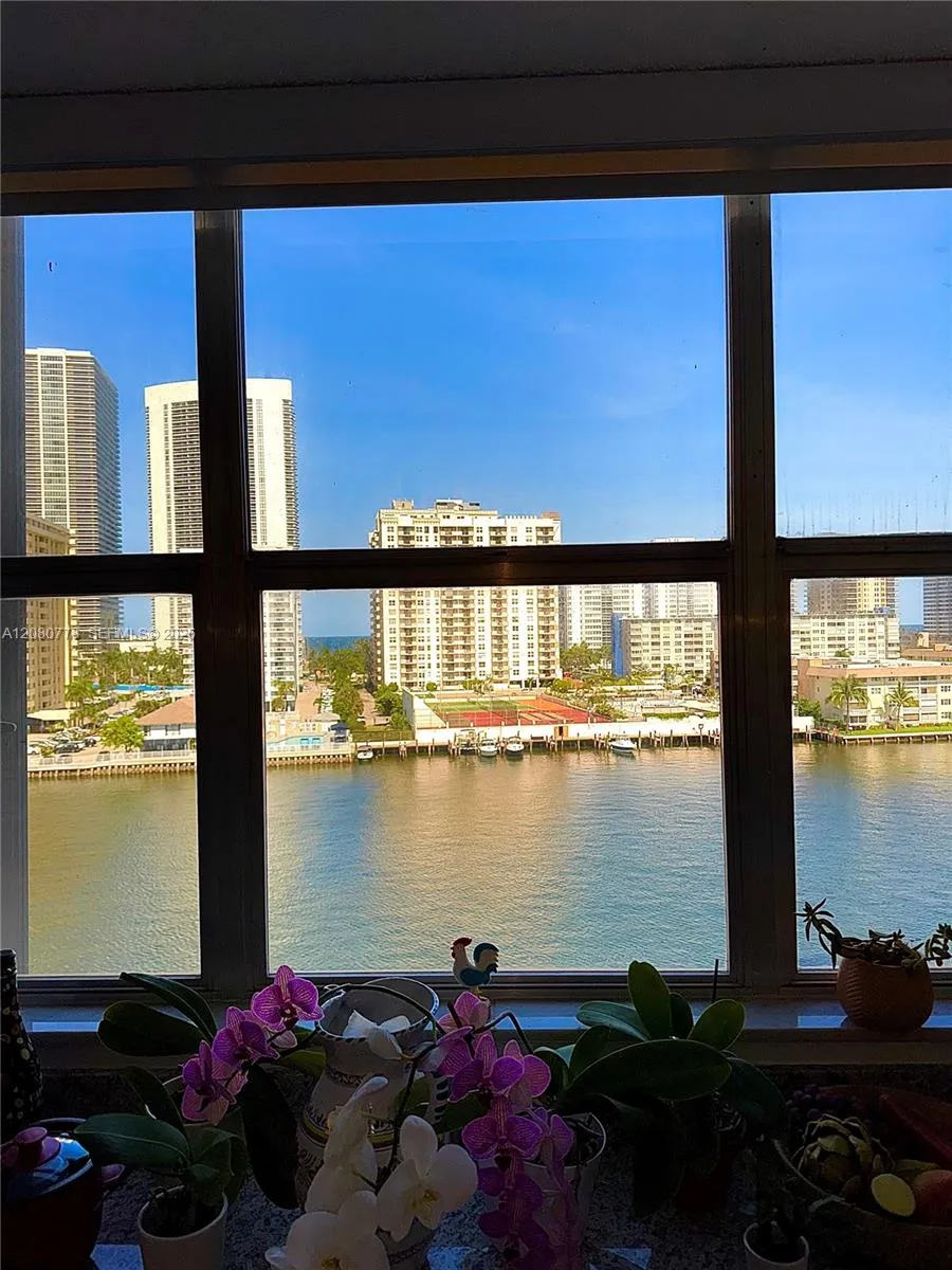 View from Kitchen