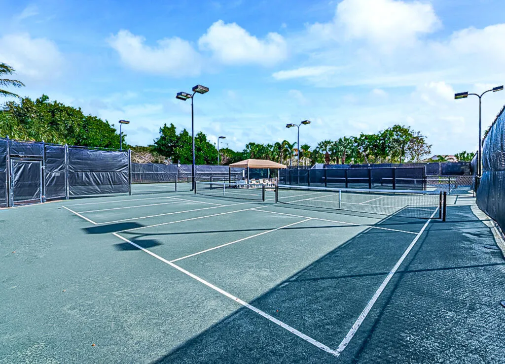 The Courts