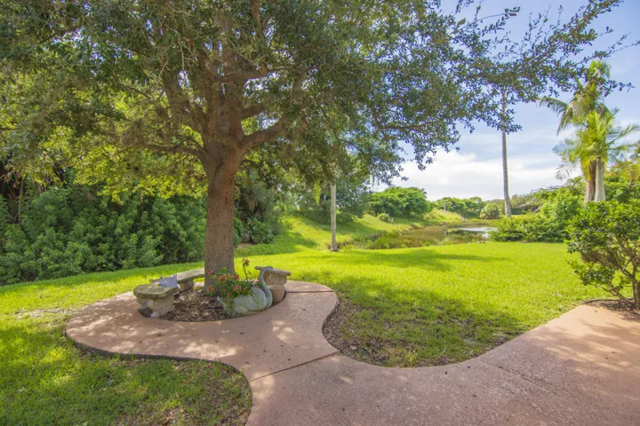 Great sitting/meditation tree in the backyard. Gaze out over the lake!