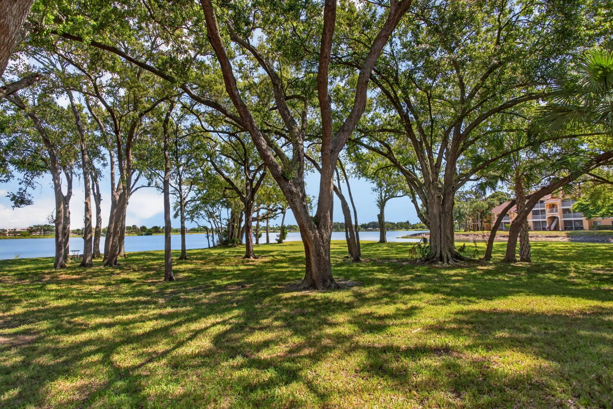 Expansive green space with mature trees, offering a serene waterside setting and distant architectural presence