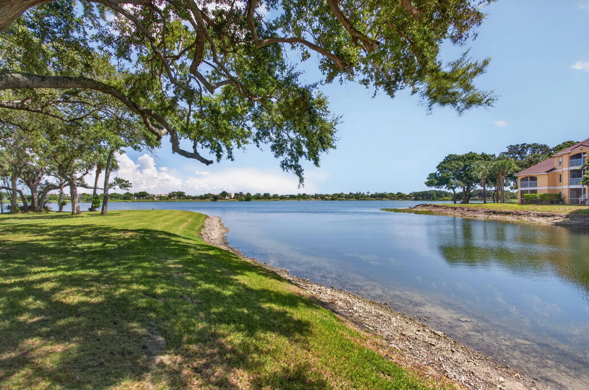 Expansive waterfront property with direct access to a large body of water, featuring mature trees and a manicured lawn