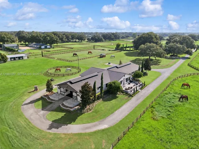 Horses Virtual Staged