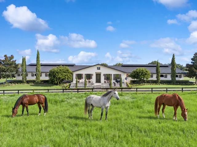 Horses Virtual Staged