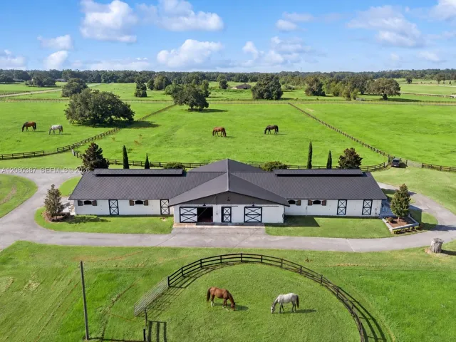 Horses Virtual Staged