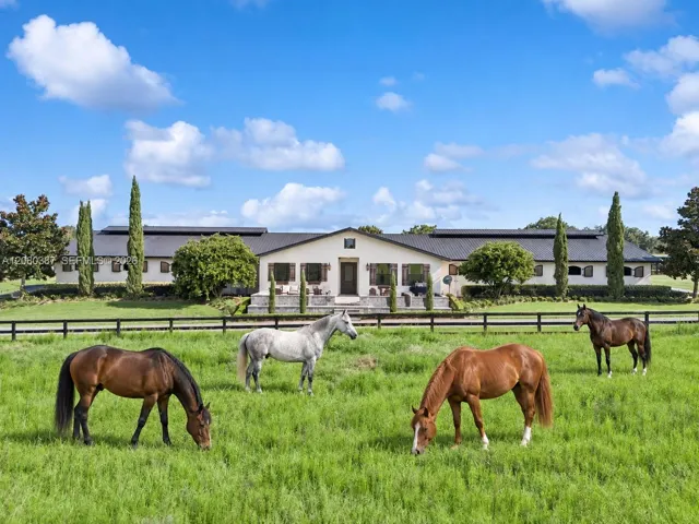 Horses Virtual Staged